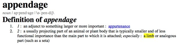 definition appendage