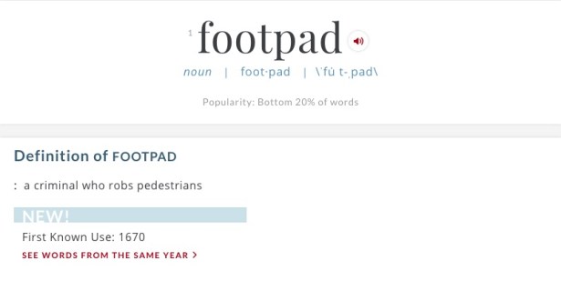 Define footpad 1