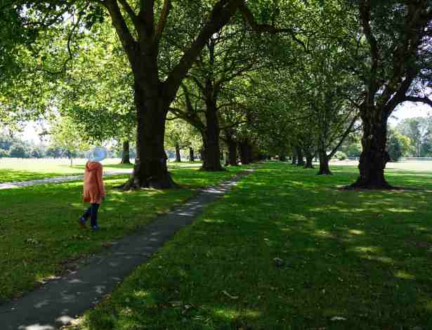 NZ Hagley Park me walking