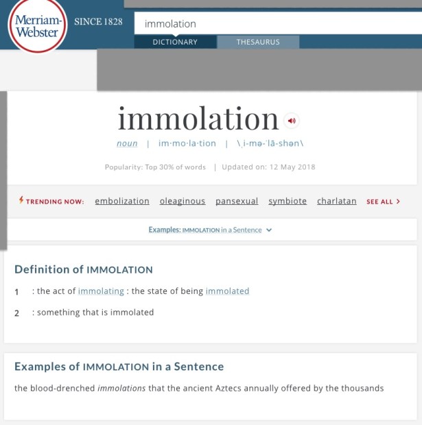 Screenshot immolation definintion MW