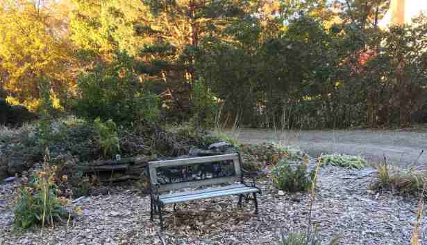 garden view of bench on frosty autumn morning