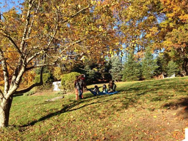 Children play amongst colorful leaves on a sunny autumn day