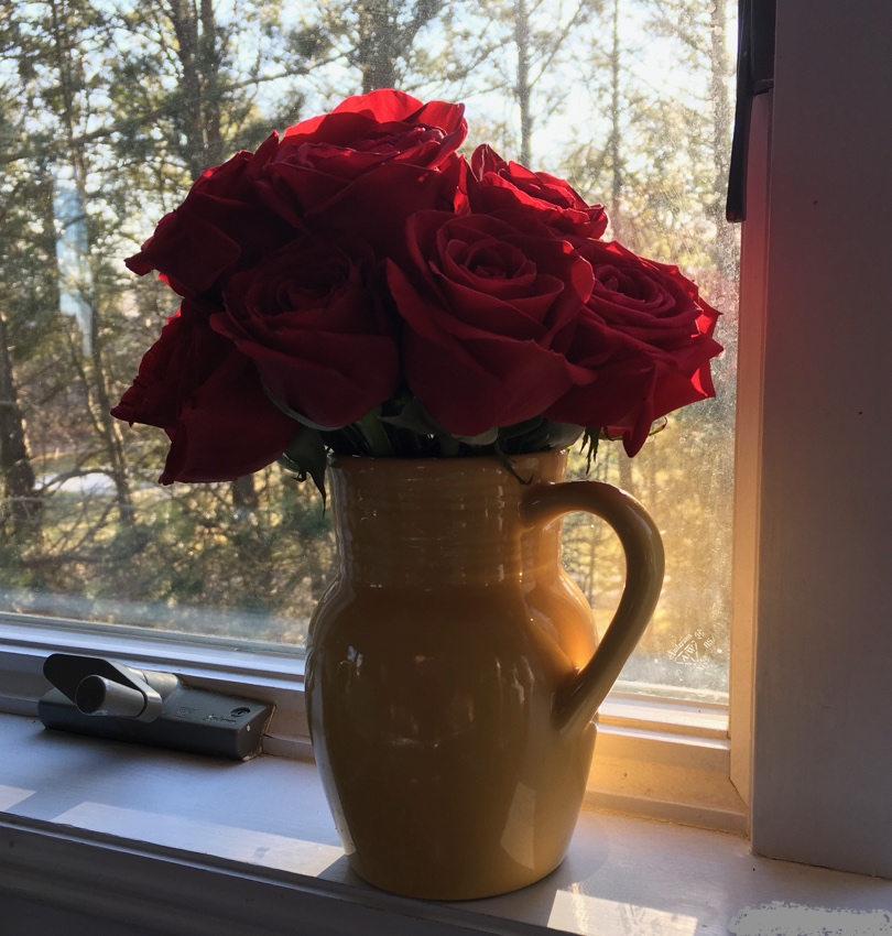 Dozen red roses in yellow ceramic pitcher on windowsill