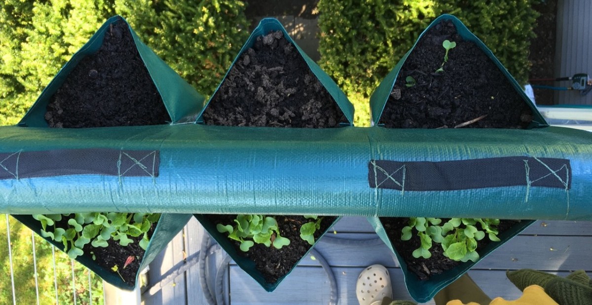 Herbs planted in soft sided pockets hung on balcony railing