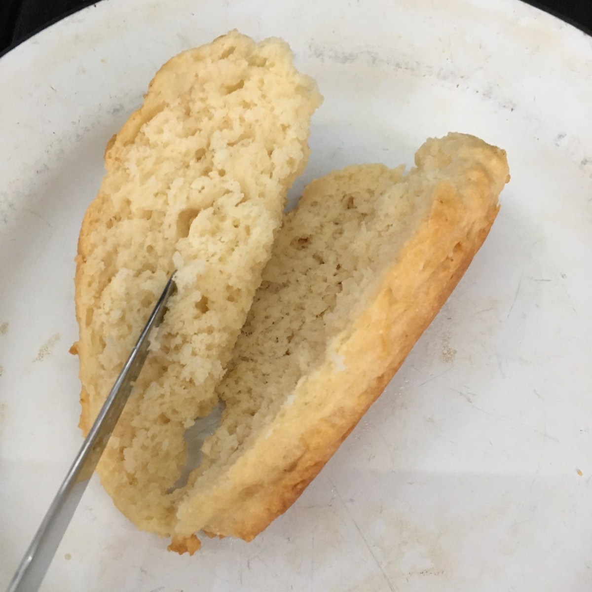 rectangular biscuit cut oven to show texture