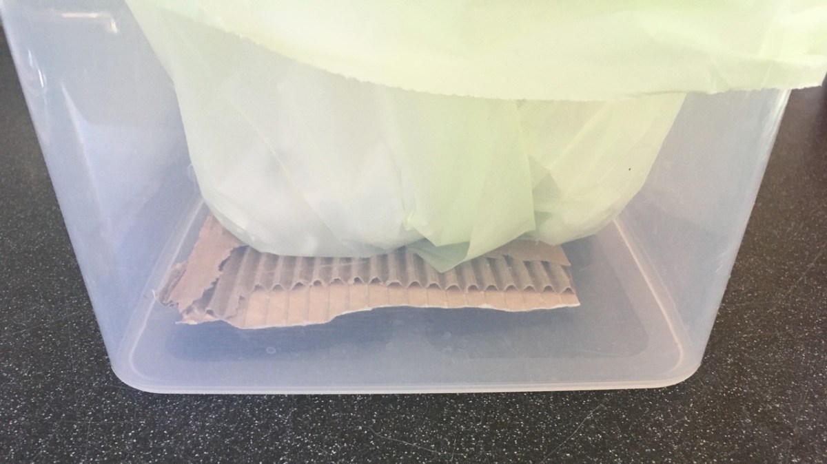 torn piece of corrugated cardboard on bottom of clear plastic bin with bottom of compost liner bag resting atop
