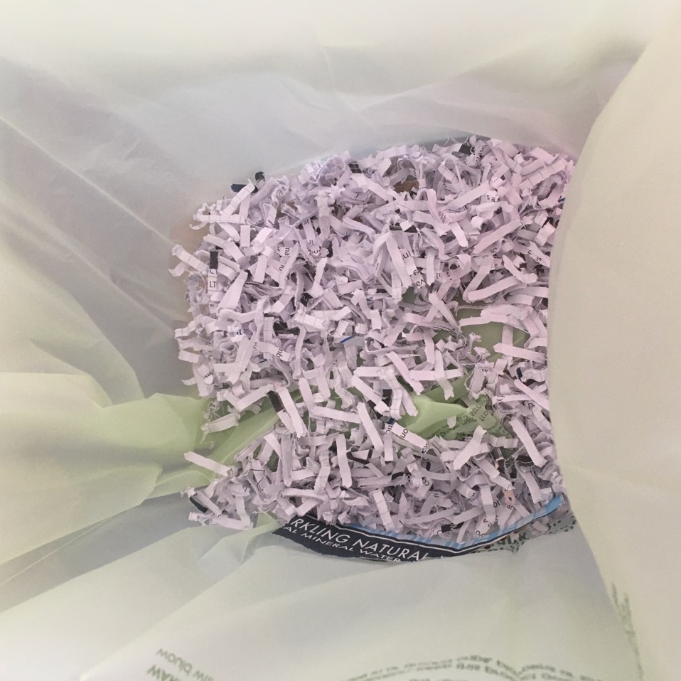 shredded office paper inside compostable bin liner bag in compost pail