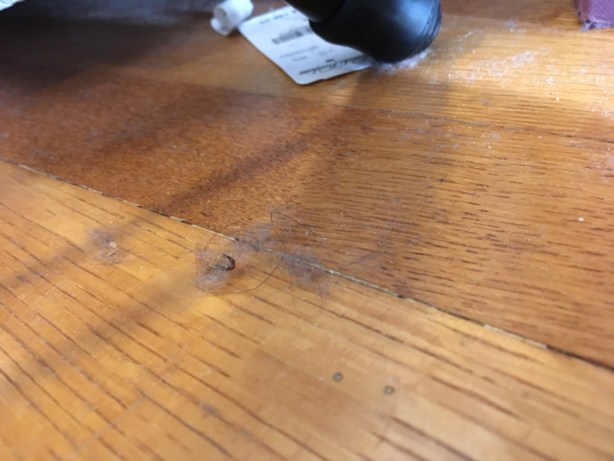 dust, hair, and an old price tag on hardwood floor near chair leg