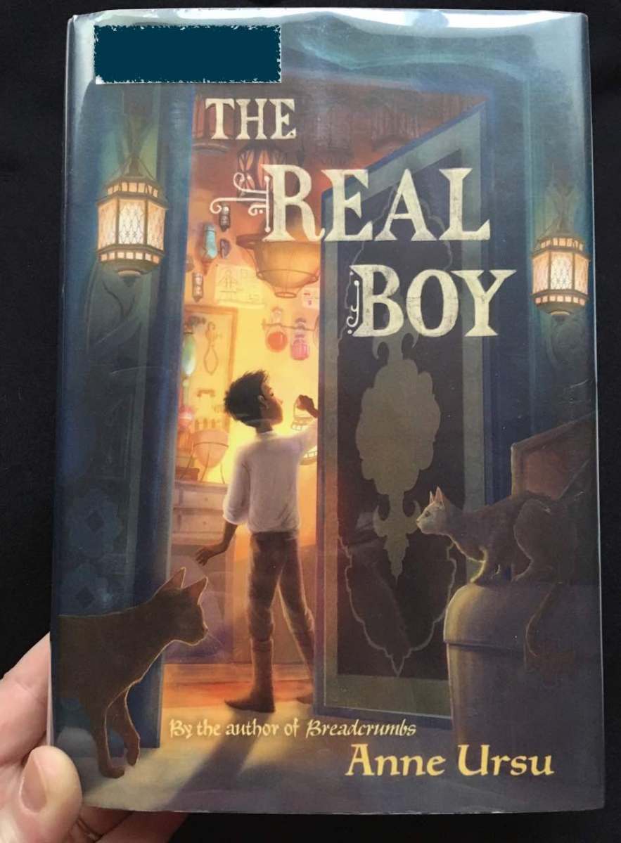 Cover of hardback copy of The Real Boy by Ursu