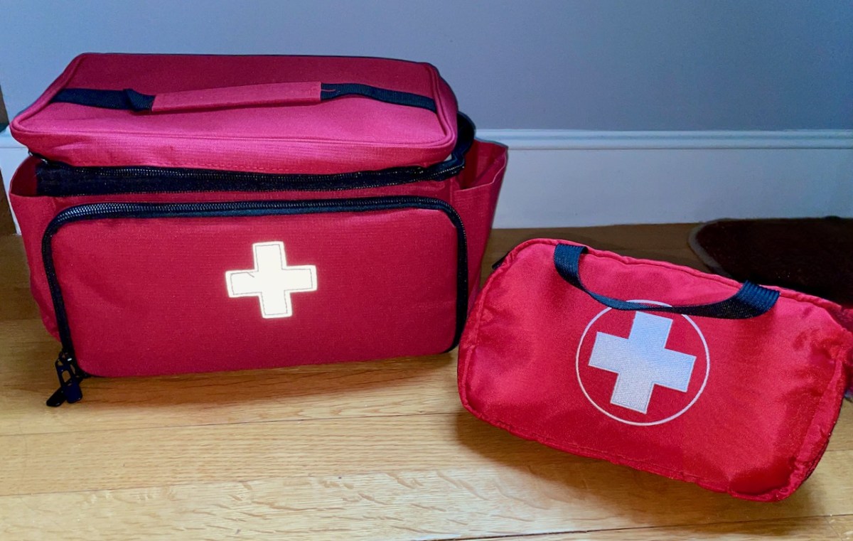 Tom Bihn First Aid Pouch alongside larger CURMIO bag