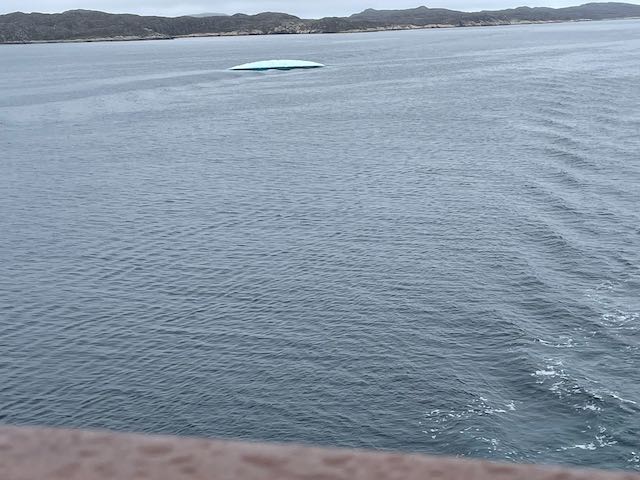 iceberg looking like a giant white turtle floating along off my cruise stateroom balcony with hills in the distance behind