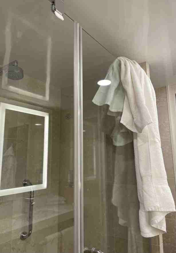Towel draped over shower door
