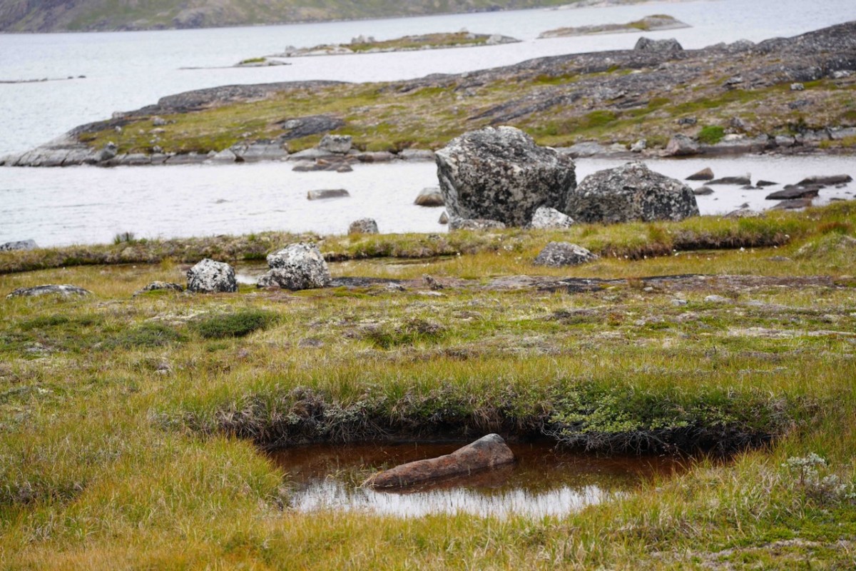 Boulders and pools surround Greenland lake